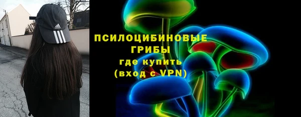 соль ск Алексеевка