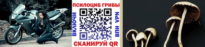 Псилоцибиновые грибы GOLDEN TEACHER blacksprut ТОР Раменское